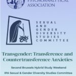 Transgender: Transference and Countertransference Anxieties